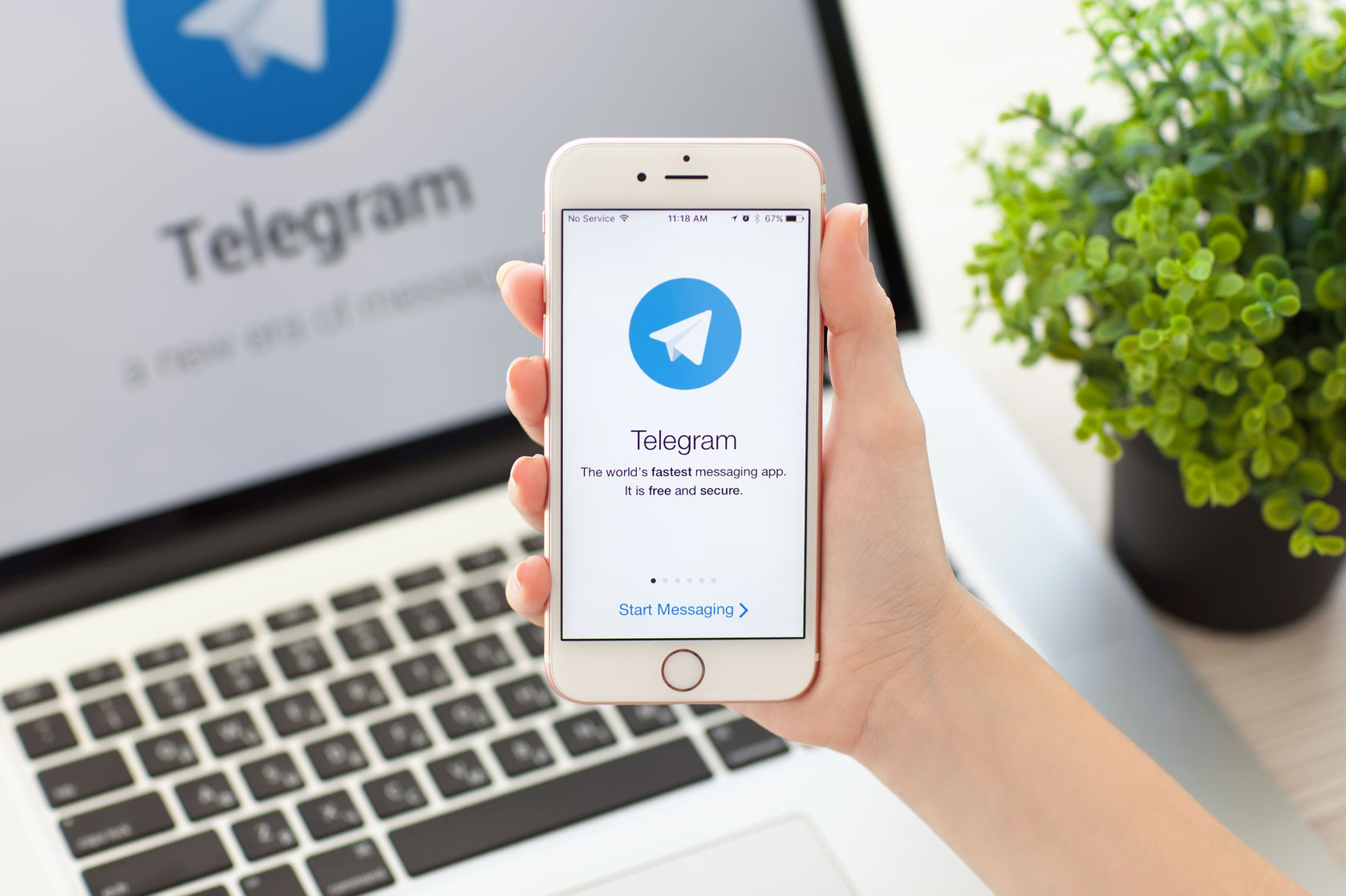 Telegram quer sua ajuda para escolher entre estes dois webapps | Internet