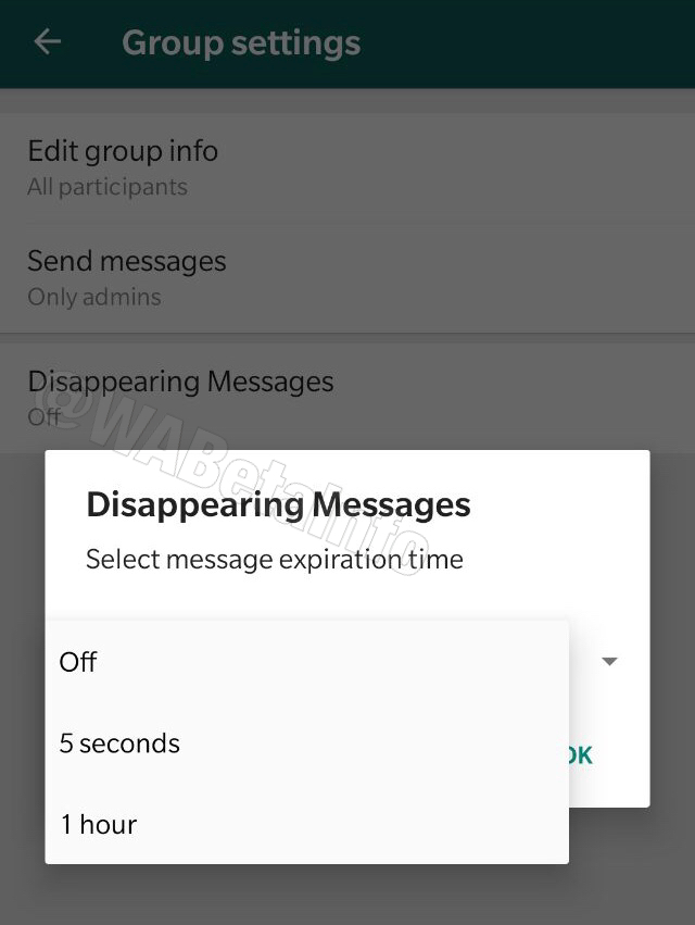 WhatsApp / Mensagens autodestrutivas