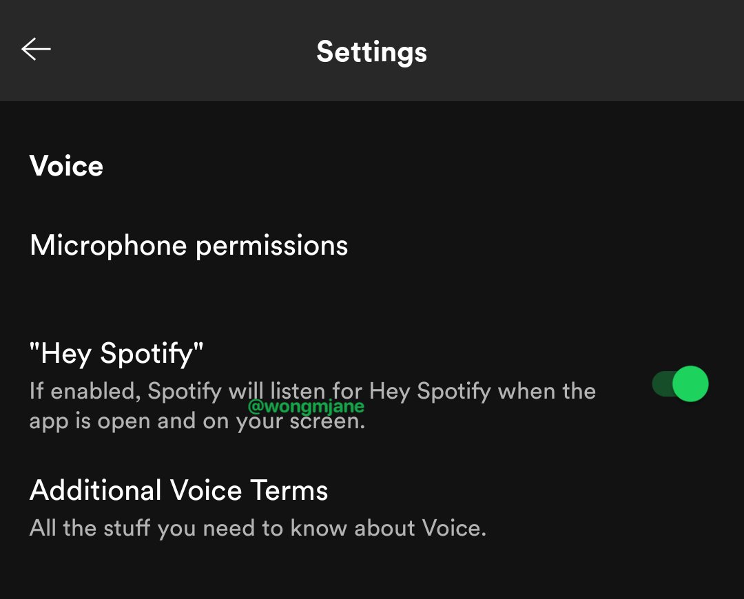 Spotify testa assistente de voz dentro do app para celular