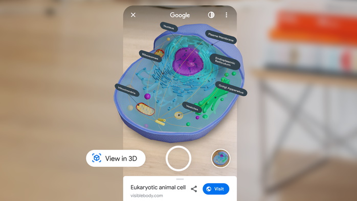 يعرض Google خلايا ثلاثية الأبعاد وتشريحًا بشريًا في البحث 1
