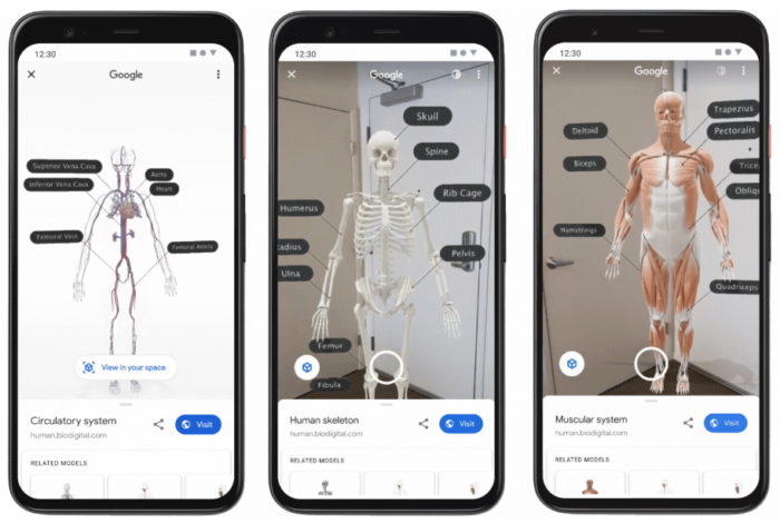Google - cơ thể con người ba chiều trong thực tế mở rộng