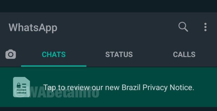 WhatsApp trabalha em nova política de privacidade para brasileiros (Foto: Reprodução/WABetaInfo)