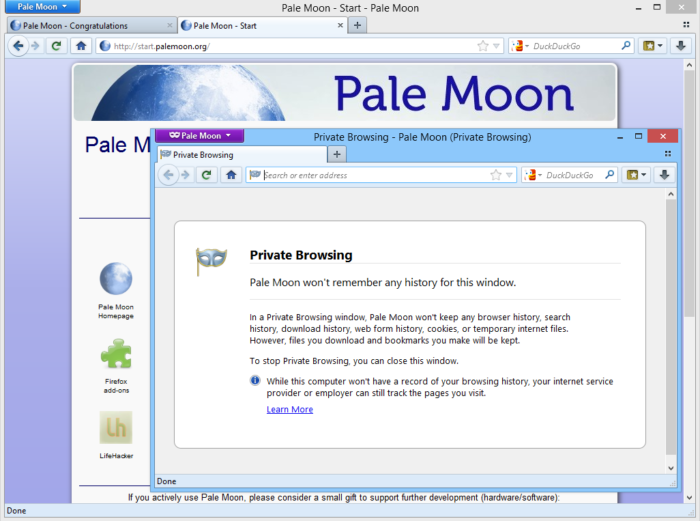 Pale Moon, navegador com suporte a Adobe Flash (Imagem: Divulgação)