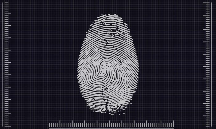 Biometria coletada pelo TSE será usada pelo governo federal