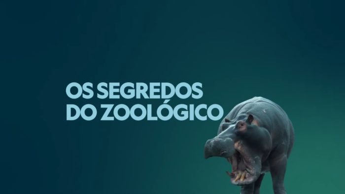 Os Segredos do Zoológico (Imagem: Divulgação/Disney)