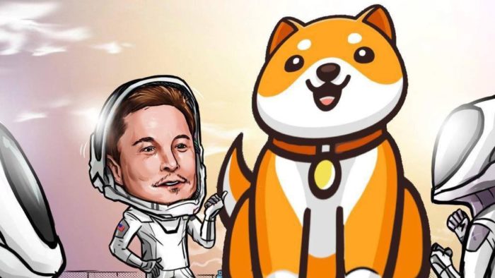 Conta oficial no Twitter do baby doge coin divulgou ilustração com Elon Musk (Imagem: Reprodução/Twitter)