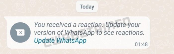 Você recebeu uma reação. Atualize a sua versão do WhatsApp para visualizar reações. (imagem: WABetaInfo)